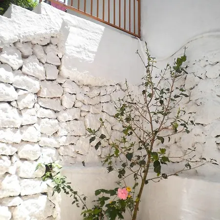 Kostas Ii * 瓦西利基