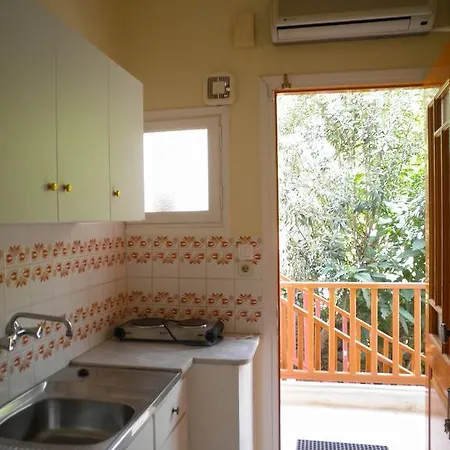 公寓 Kostas Ii 瓦西利基