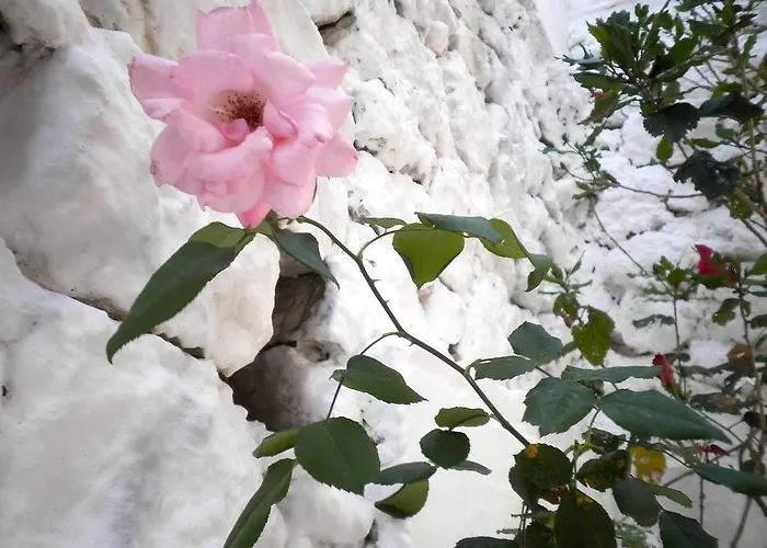 公寓 Kostas Ii 瓦西利基