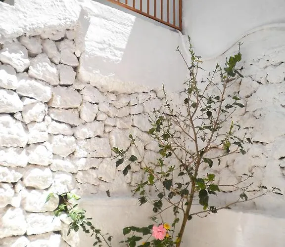 Kostas Ii * 瓦西利基