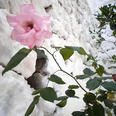 Apartament Kostas Ii Vasiliki