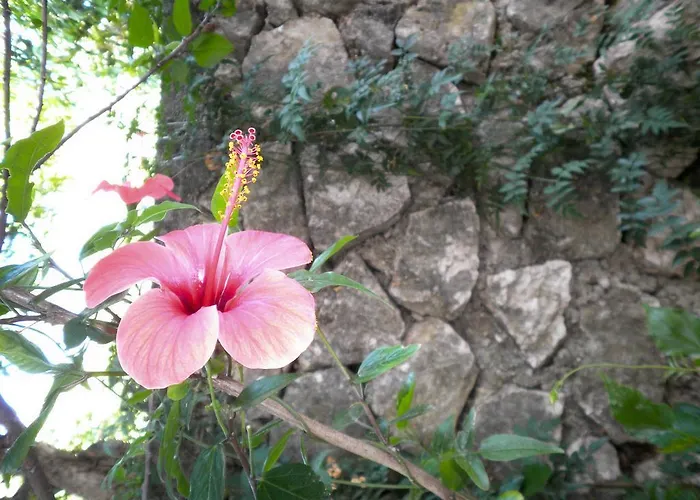 Kostas Studios Vasiliki (Lefkada)